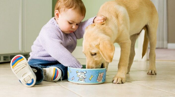 the boy eats from a dog bowl and becomes infected with worms